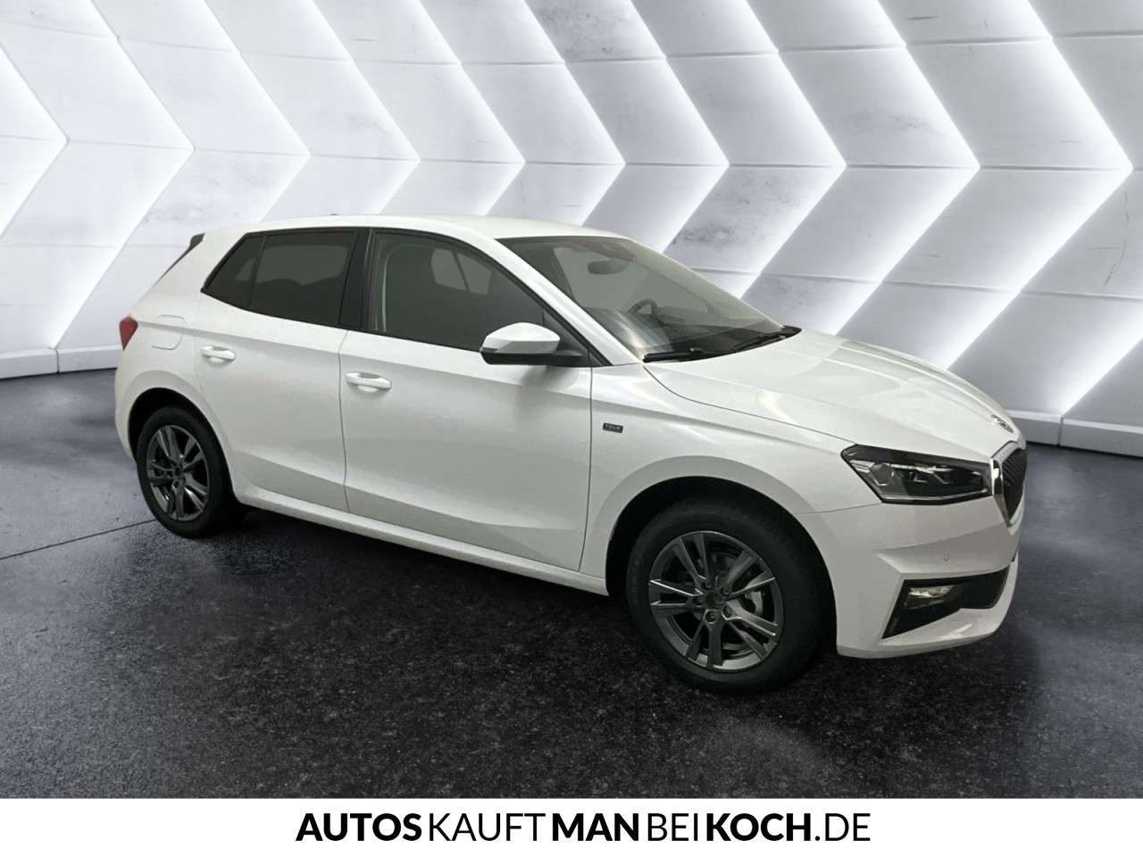 Fahrzeugbild eines Skoda Fabia
