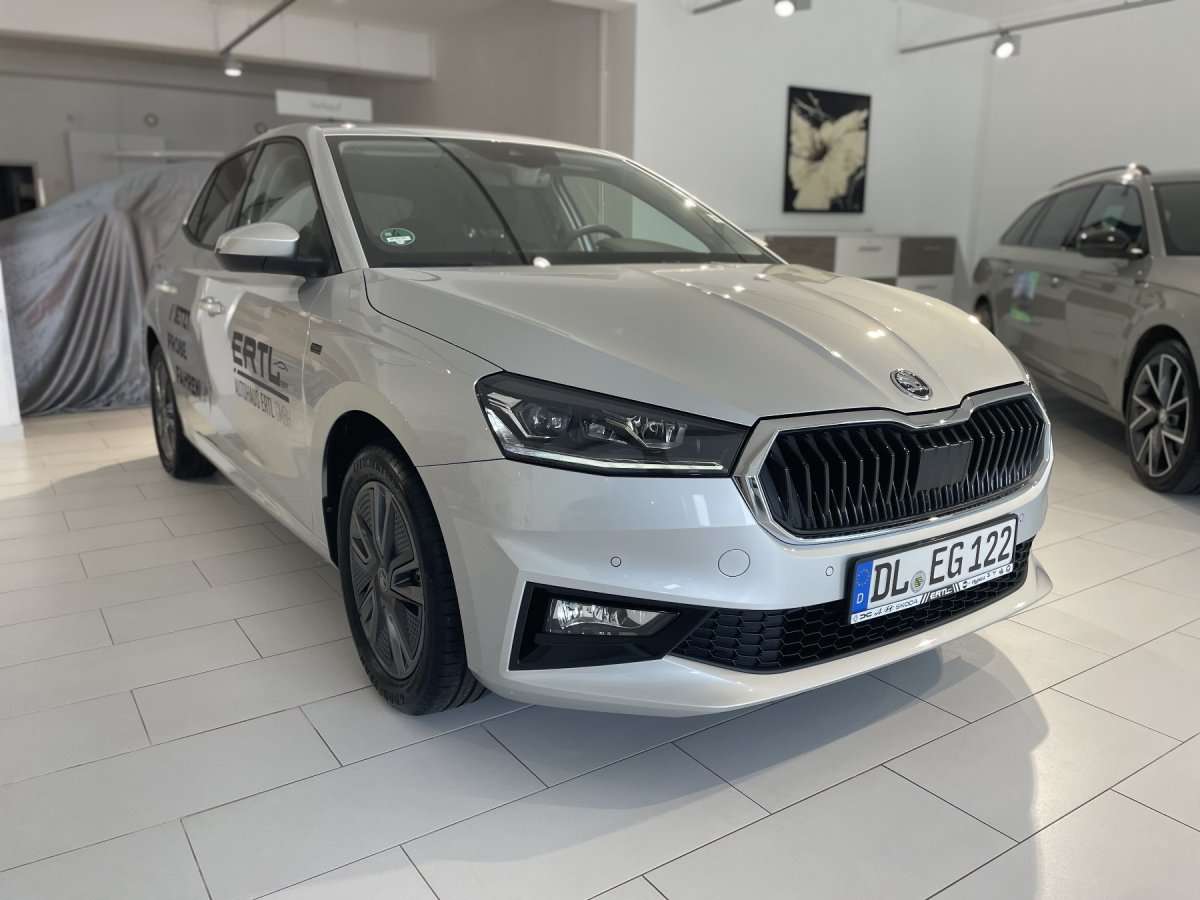 Fahrzeugbild eines Skoda Fabia