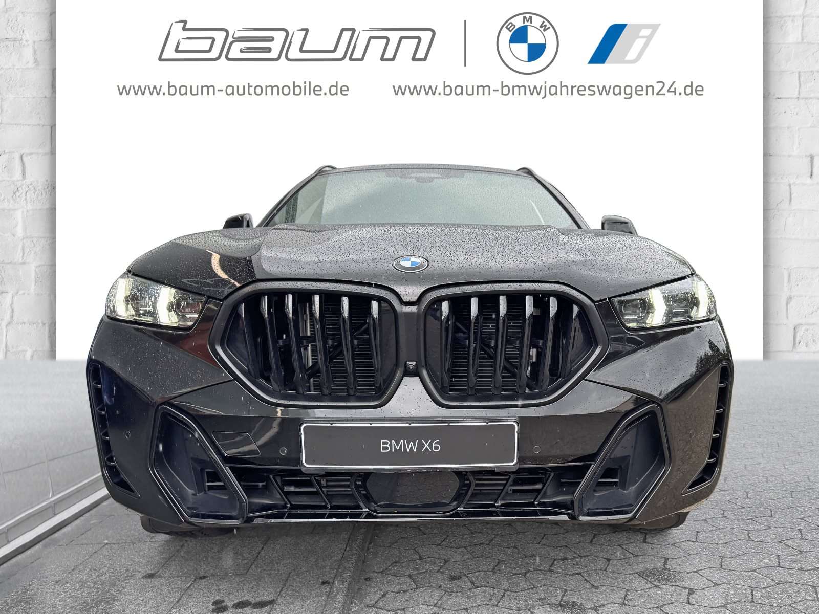 Fahrzeugbild eines BMW X6