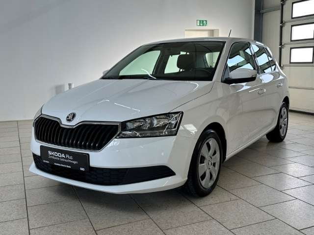 Fahrzeugbild eines Skoda Fabia
