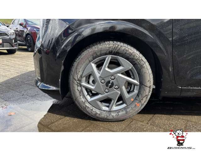 Fahrzeugbild eines Kia Picanto