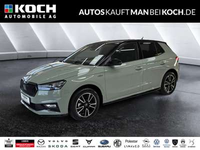 Bild Skoda Fabia