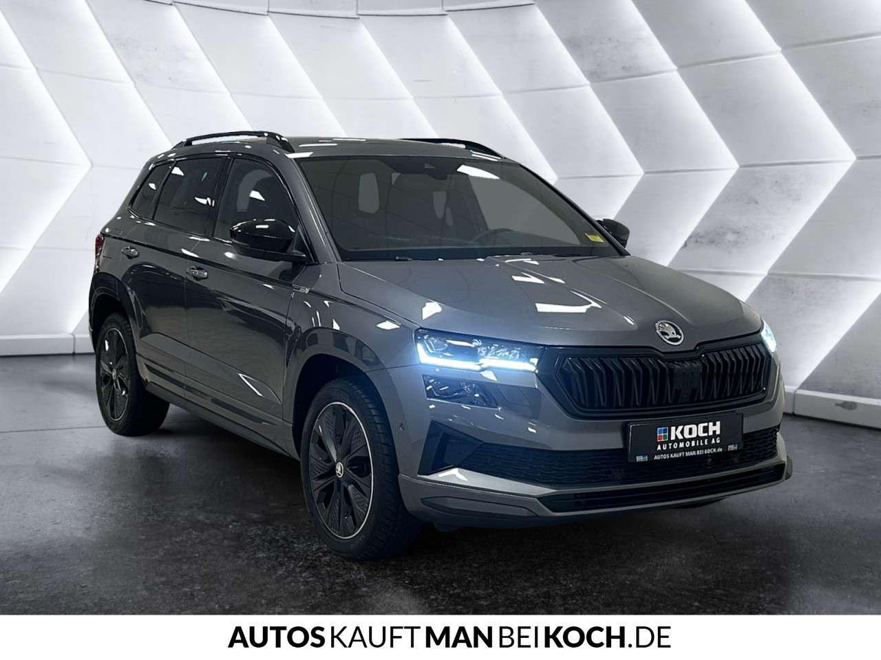 Fahrzeugbild eines Skoda Karoq