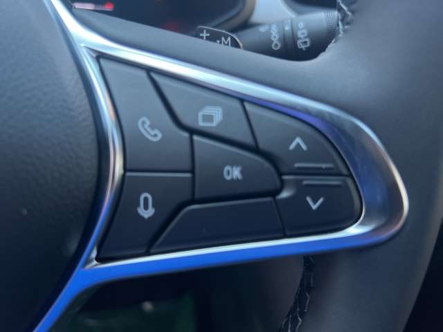 Fahrzeugbild eines Mitsubishi Grandis