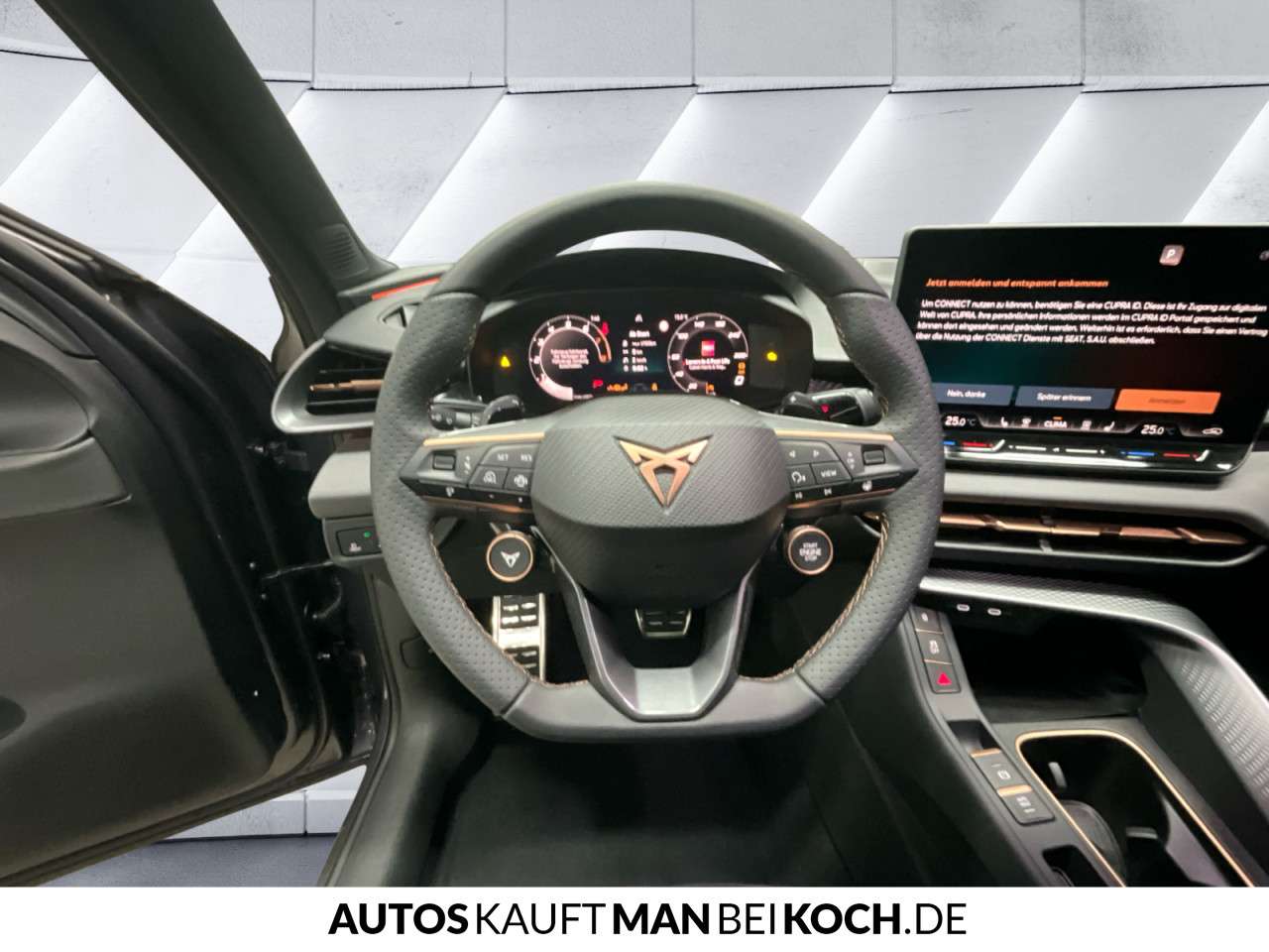 Fahrzeugbild eines CUPRA Terramar