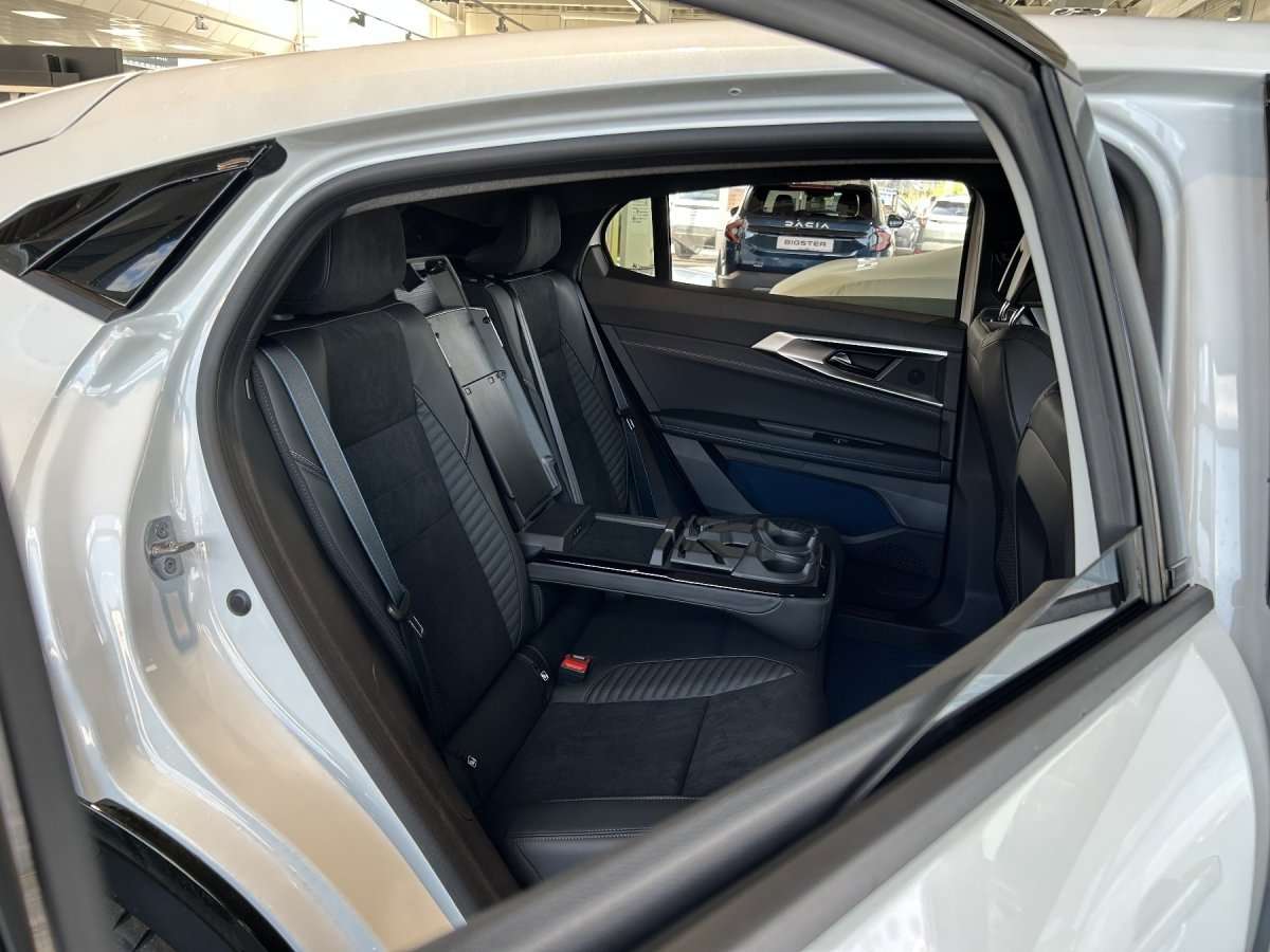Fahrzeugbild eines Renault Rafale