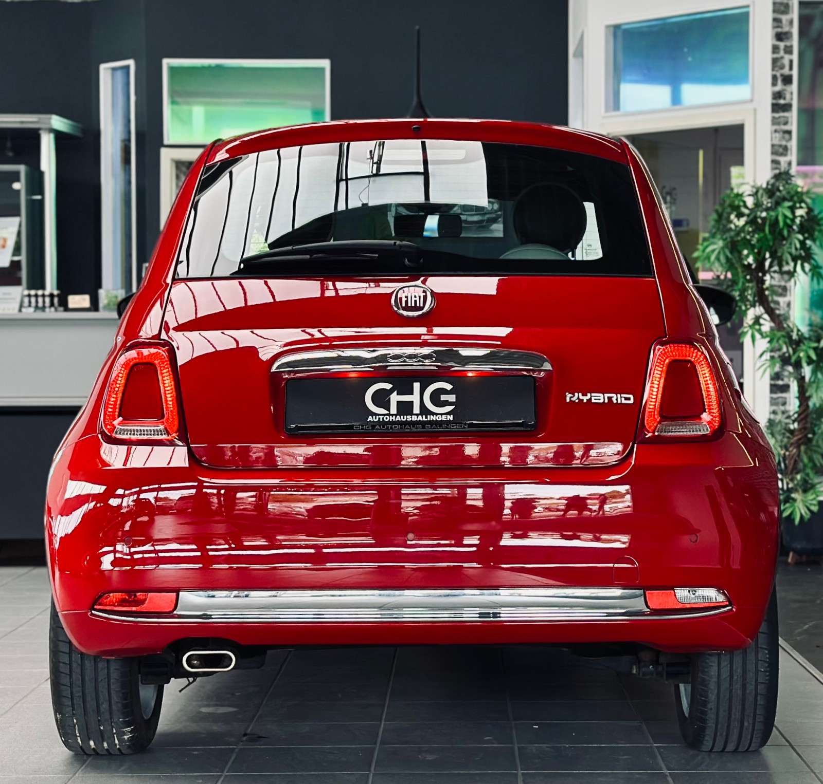 Fahrzeugbild eines Fiat 500