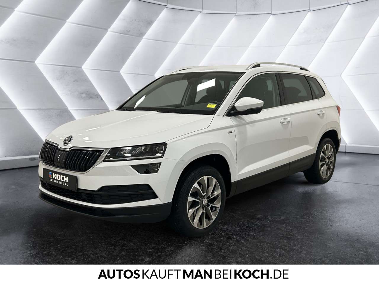 Fahrzeugbild eines Skoda Karoq