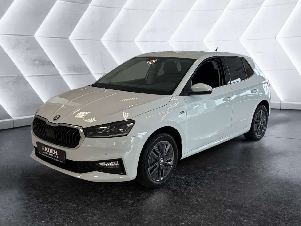 Fahrzeugbild eines Skoda Fabia