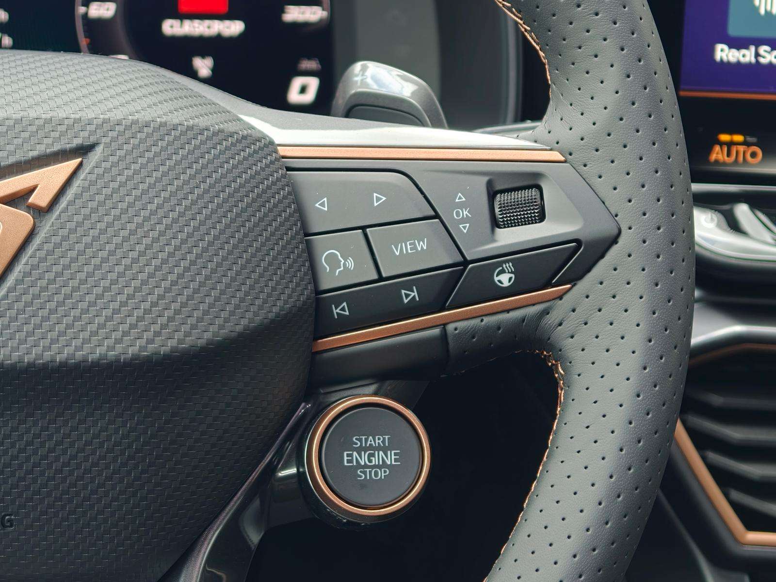 Fahrzeugbild eines CUPRA Leon