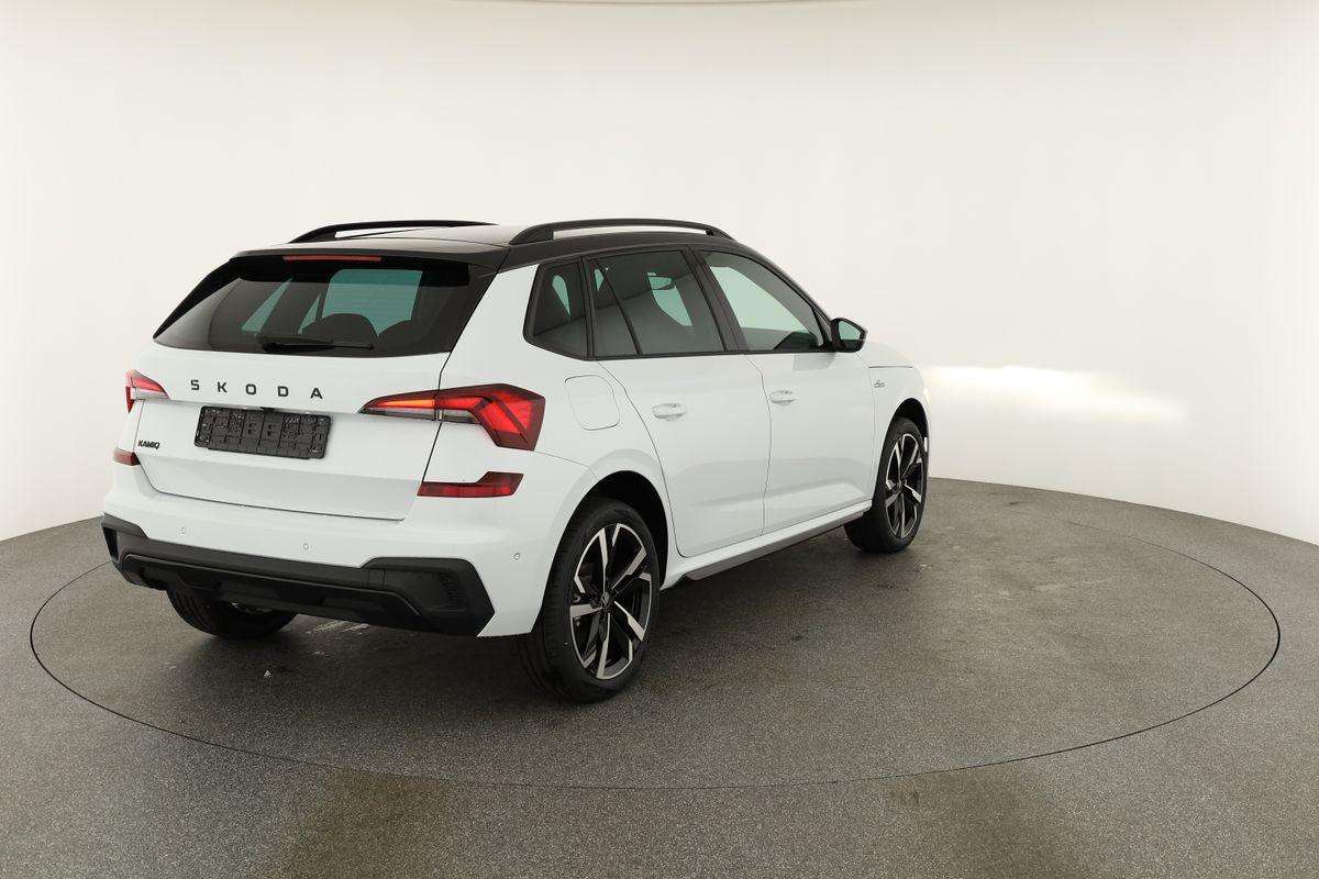 Fahrzeugbild eines Skoda Kamiq