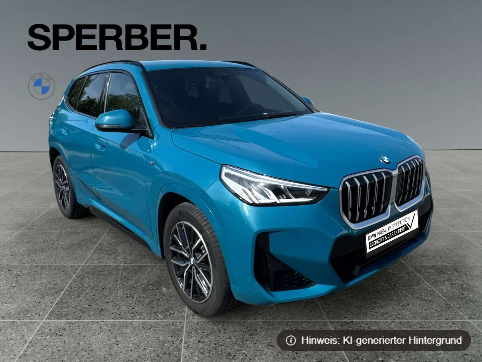 Fahrzeugbild eines BMW X1