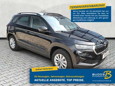 Bild Skoda Karoq