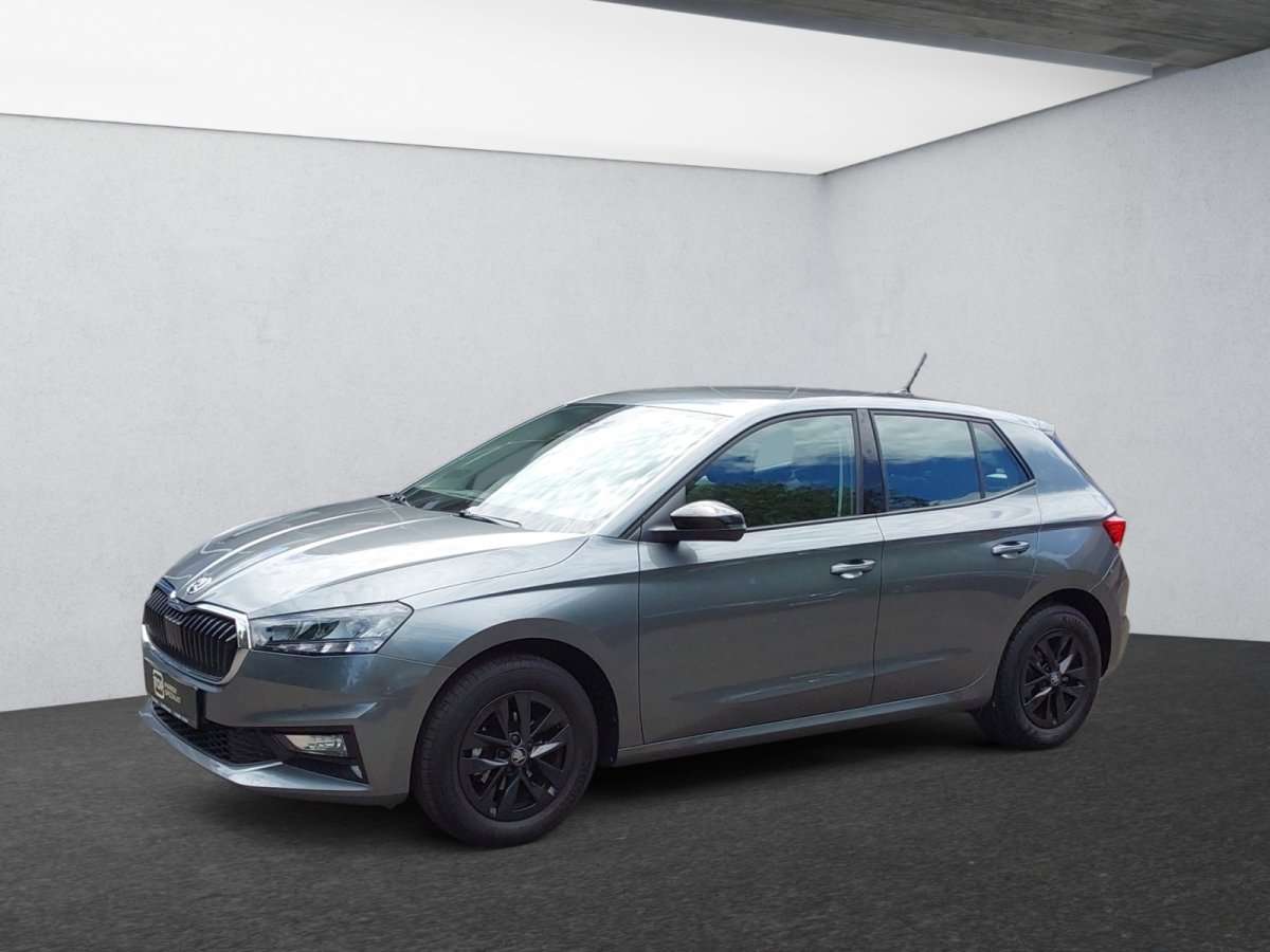 Fahrzeugbild eines Skoda Fabia