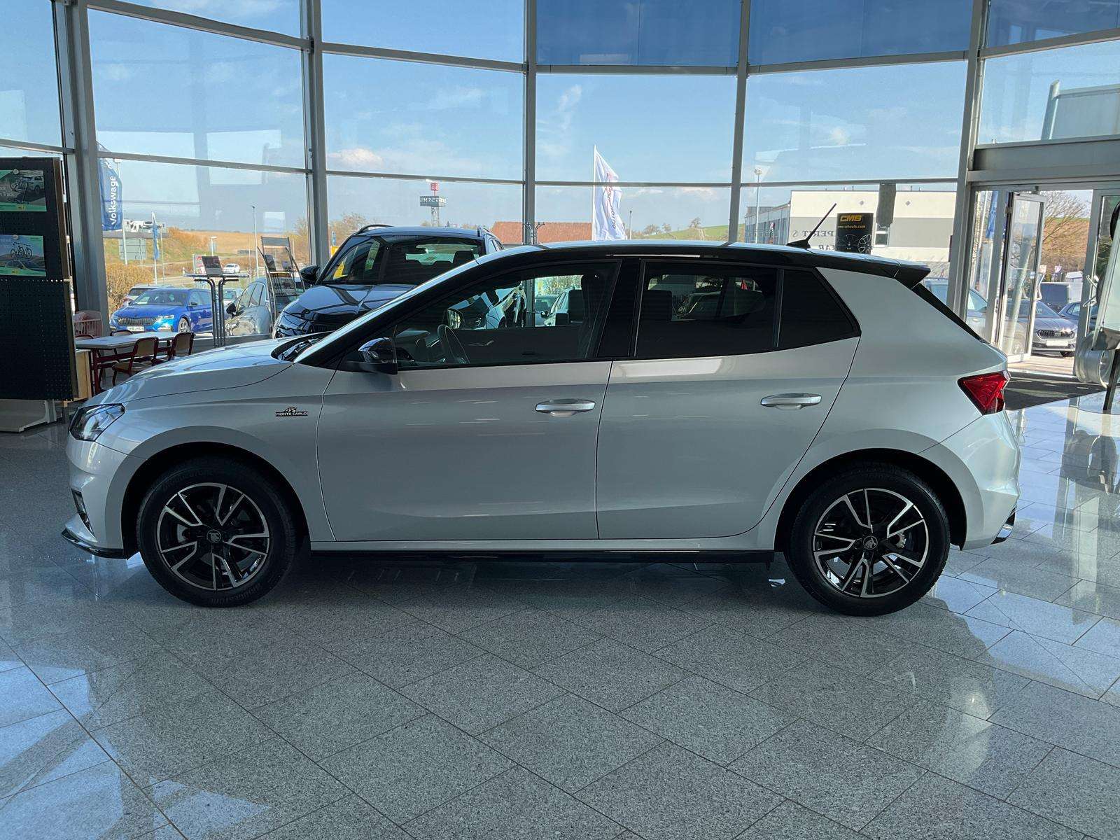 Fahrzeugbild eines Skoda Fabia