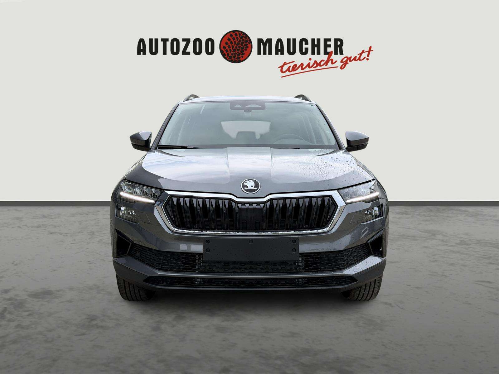 Fahrzeugbild eines Skoda Karoq