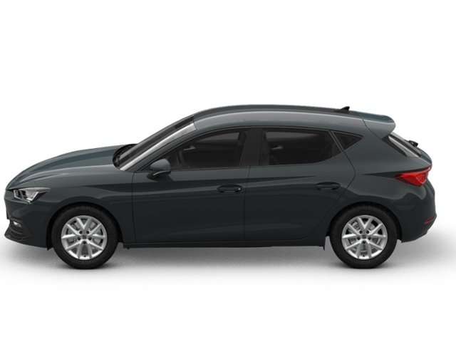 Fahrzeugbild eines SEAT Leon