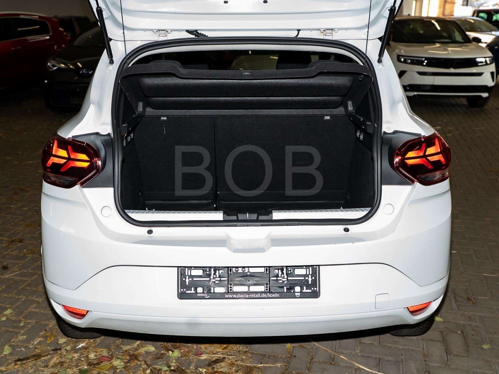 Fahrzeugbild eines Dacia Sandero