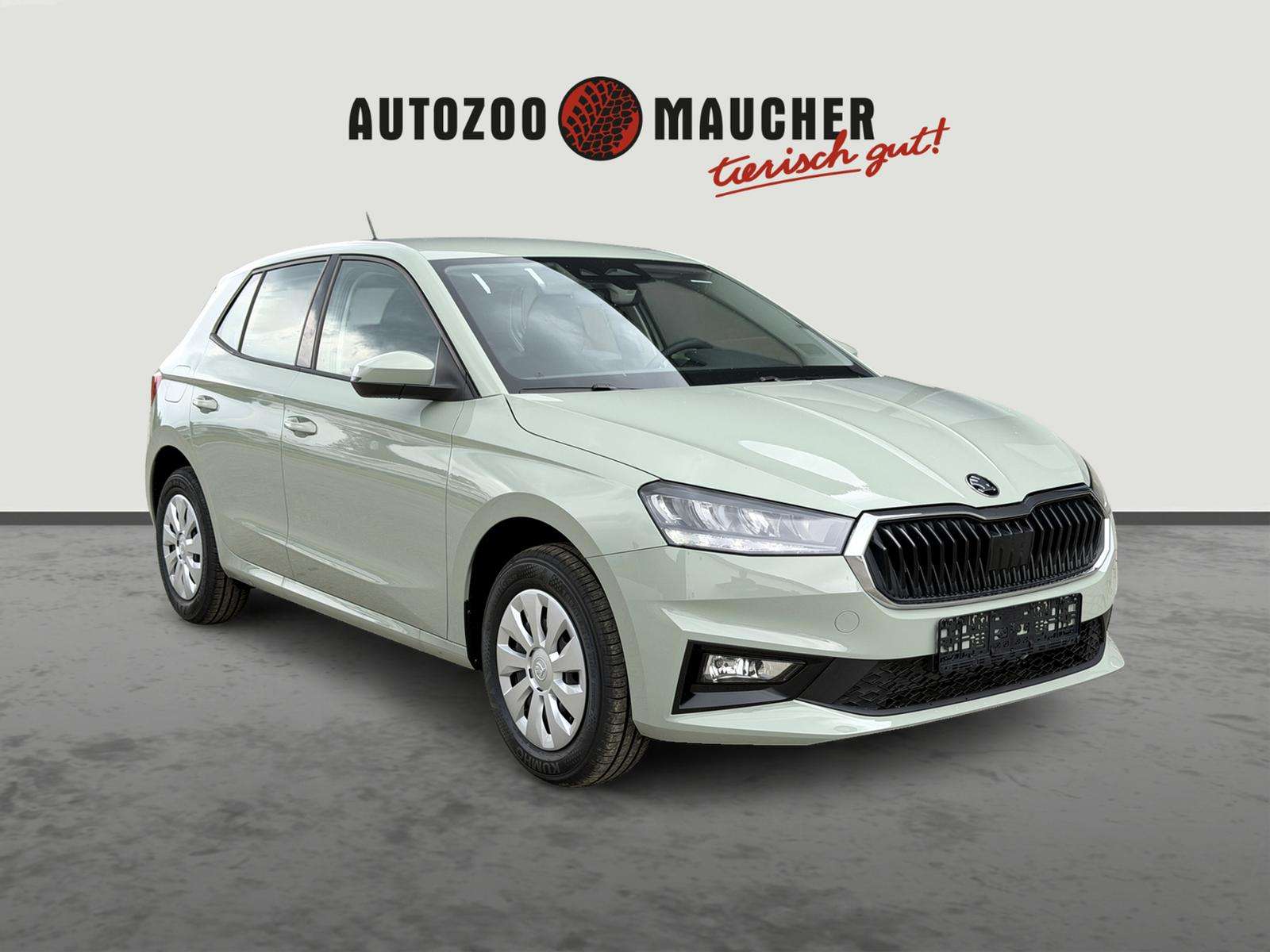 Fahrzeugbild eines Skoda Fabia