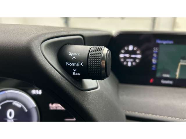 Fahrzeugbild eines Lexus UX