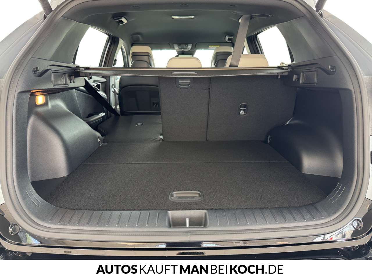 Fahrzeugbild eines Kia Sportage