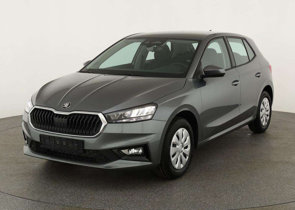 Fahrzeugbild eines Skoda Fabia