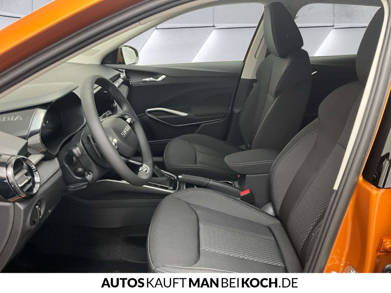 Fahrzeugbild eines Skoda Fabia