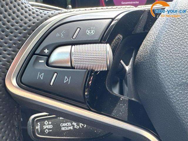 Fahrzeugbild eines Skoda Kodiaq