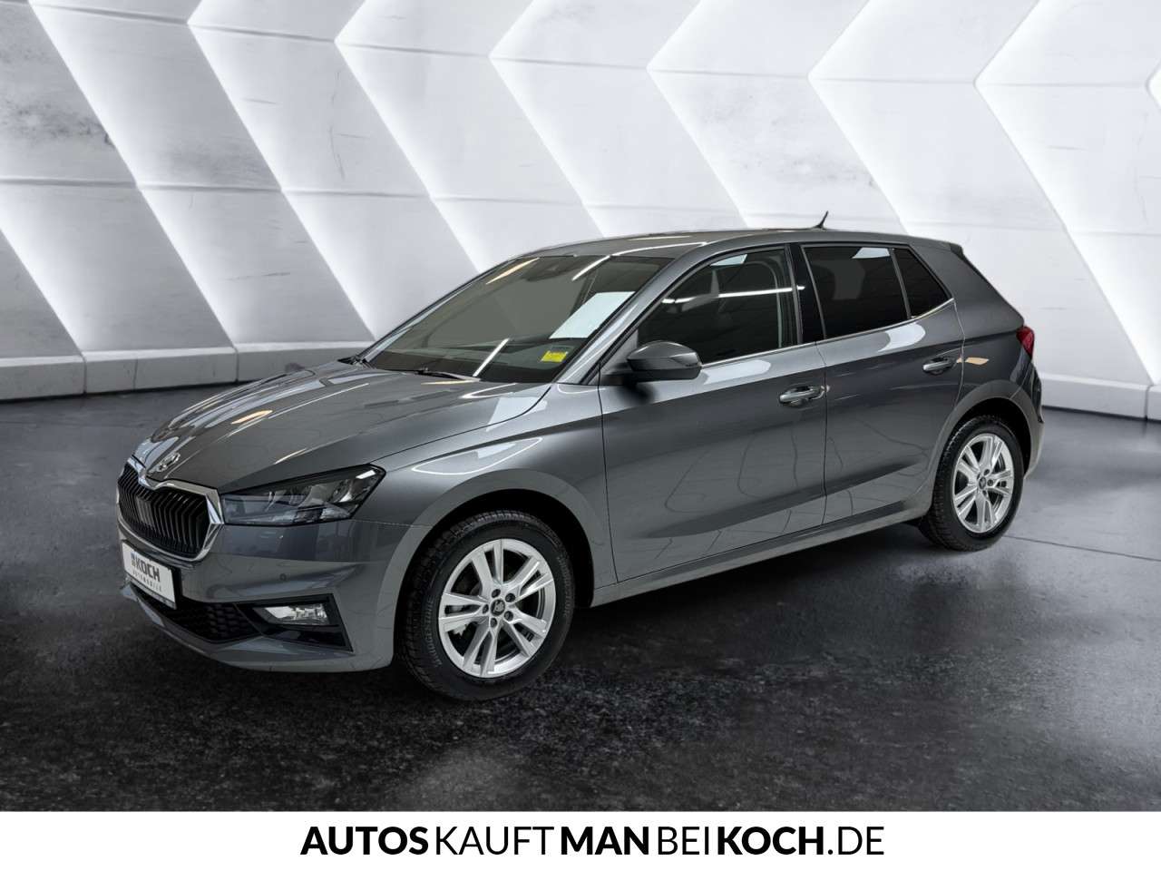 Fahrzeugbild eines Skoda Fabia