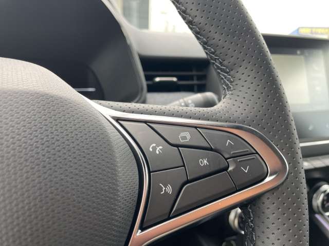 Fahrzeugbild eines Renault Clio