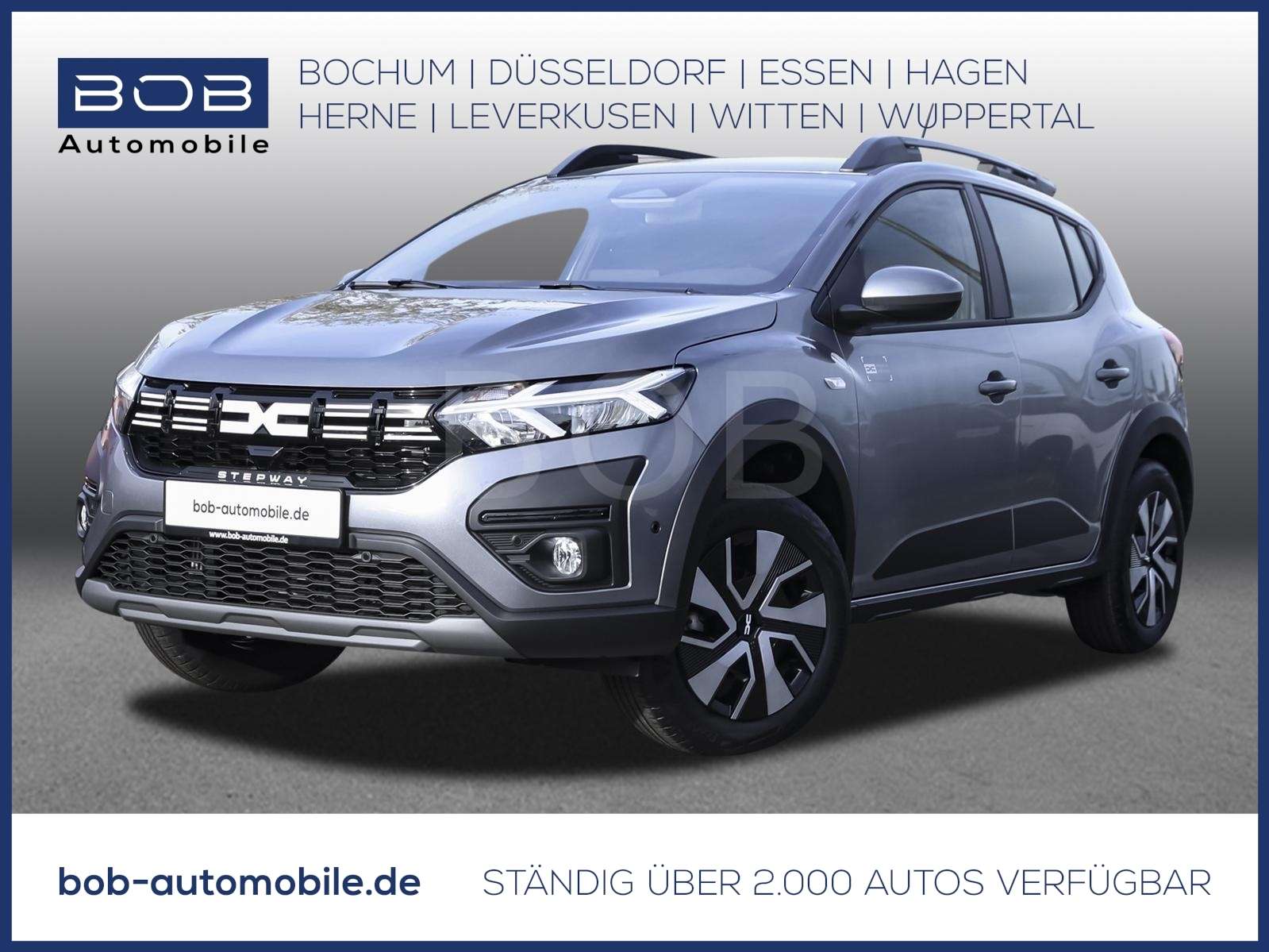 Fahrzeugbild eines Dacia Sandero