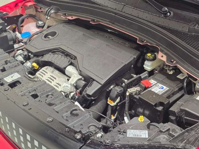 Fahrzeugbild eines Fiat Grande Panda