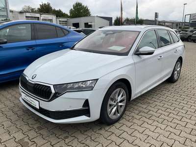 Bild Skoda Octavia