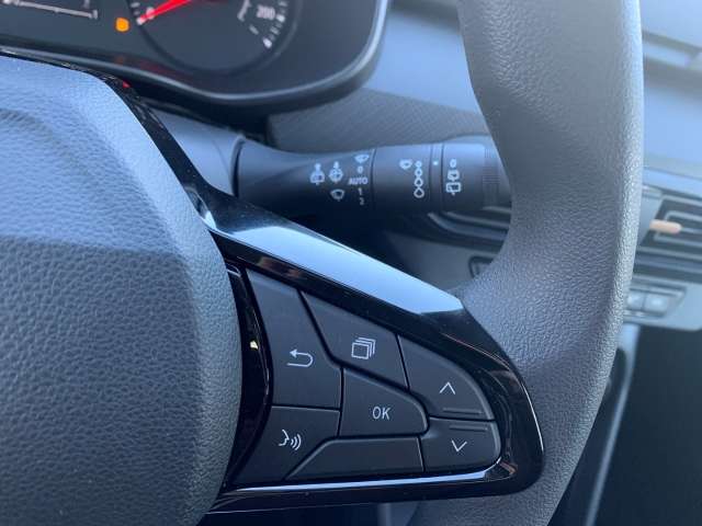 Fahrzeugbild eines Dacia Sandero