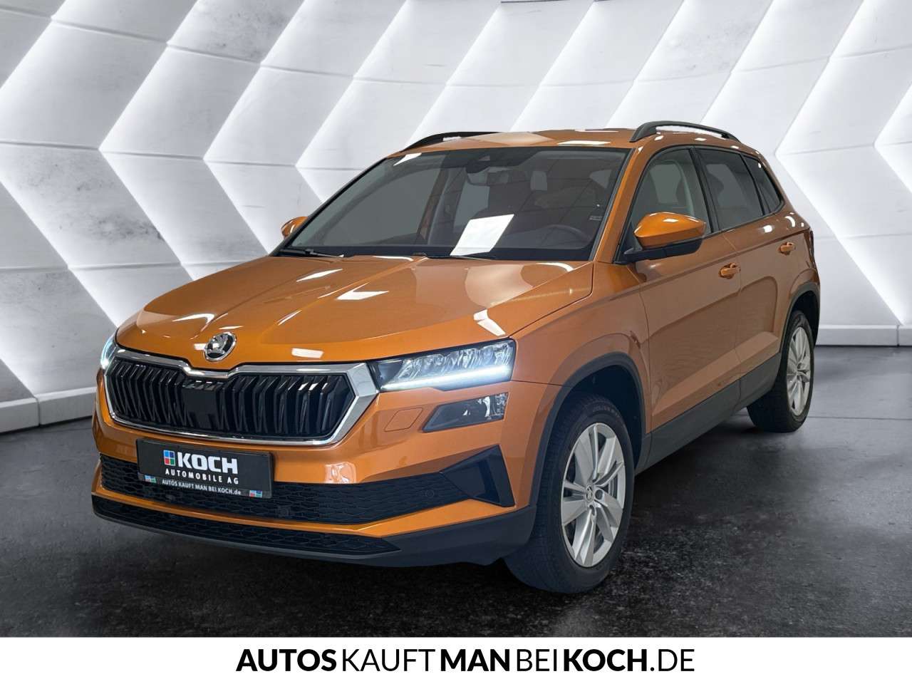 Fahrzeugbild eines Skoda Karoq