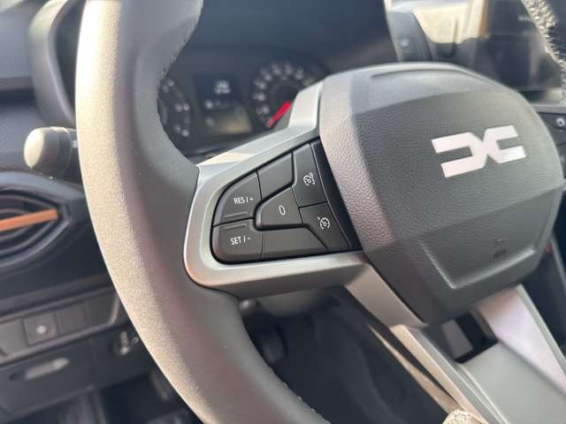 Fahrzeugbild eines Dacia Sandero