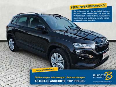 Bild Skoda Karoq