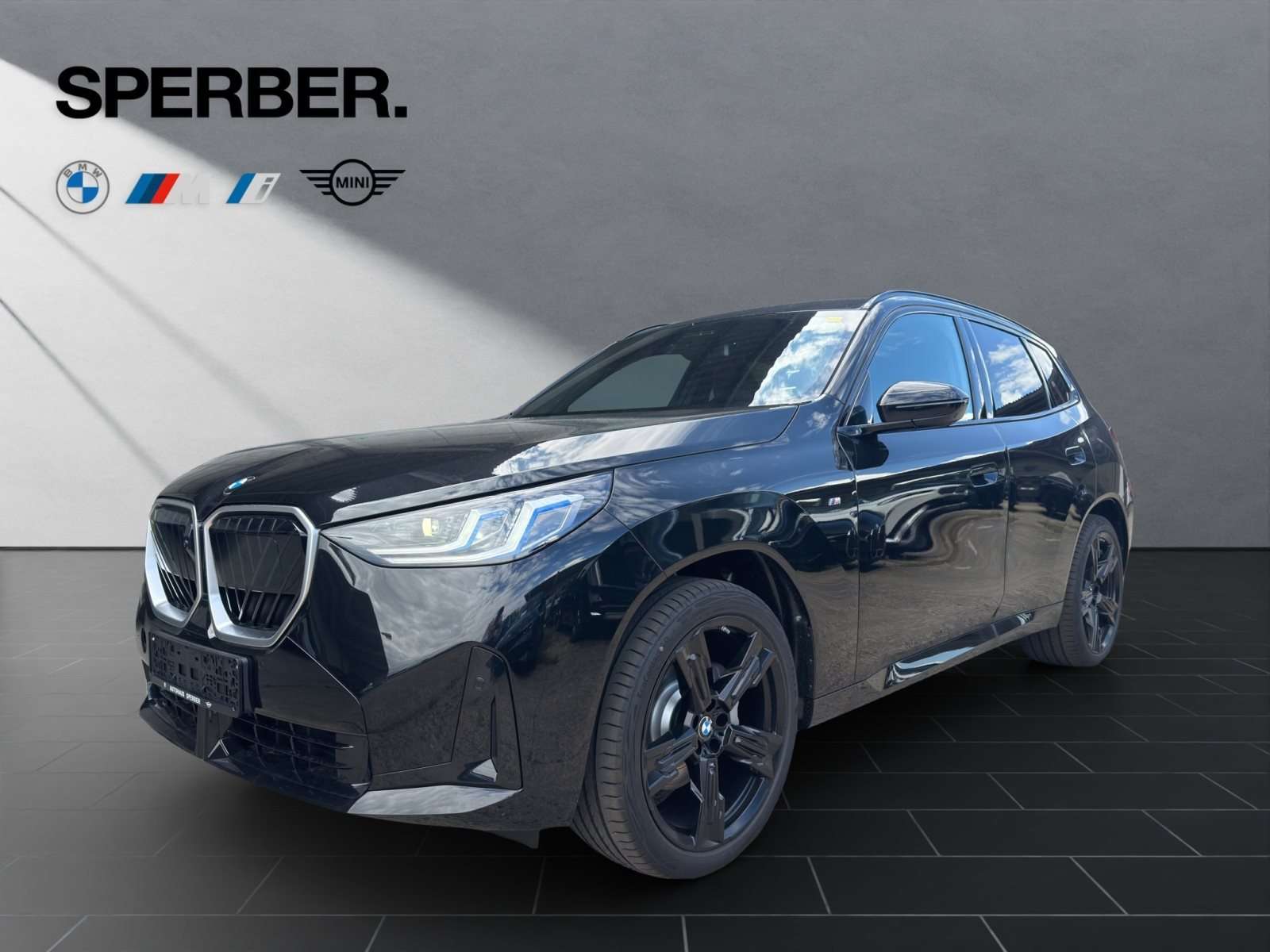 Fahrzeugbild eines BMW X3