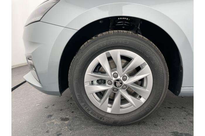 Fahrzeugbild eines Skoda Fabia