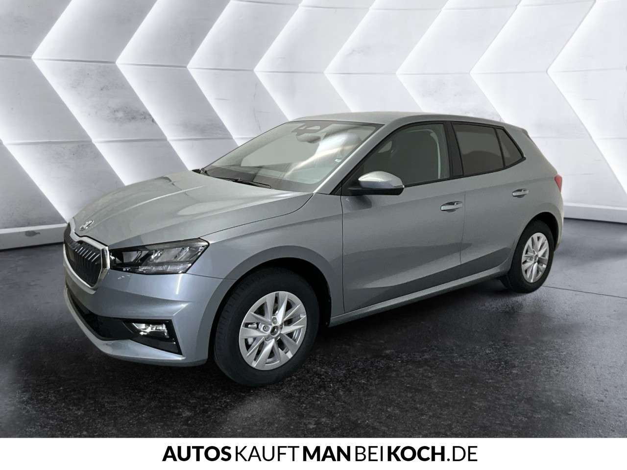 Fahrzeugbild eines Skoda Fabia