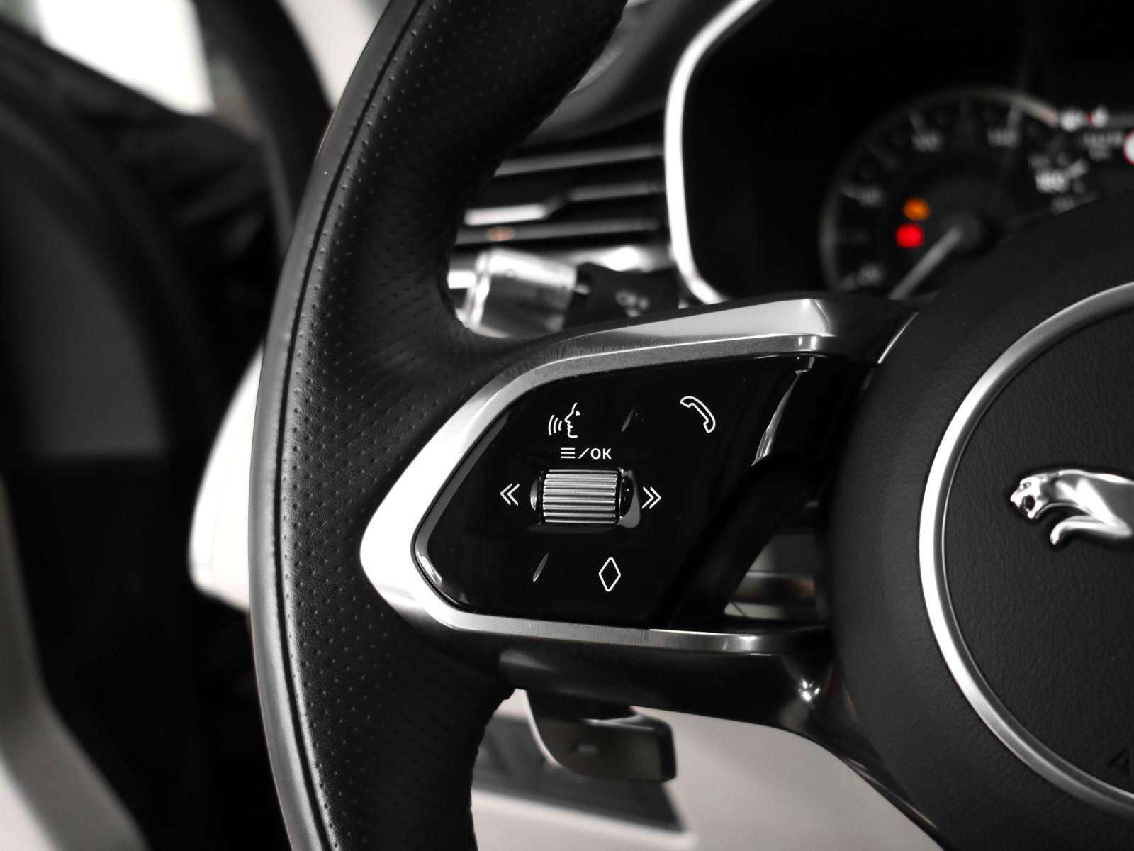 Fahrzeugbild eines Jaguar F-PACE