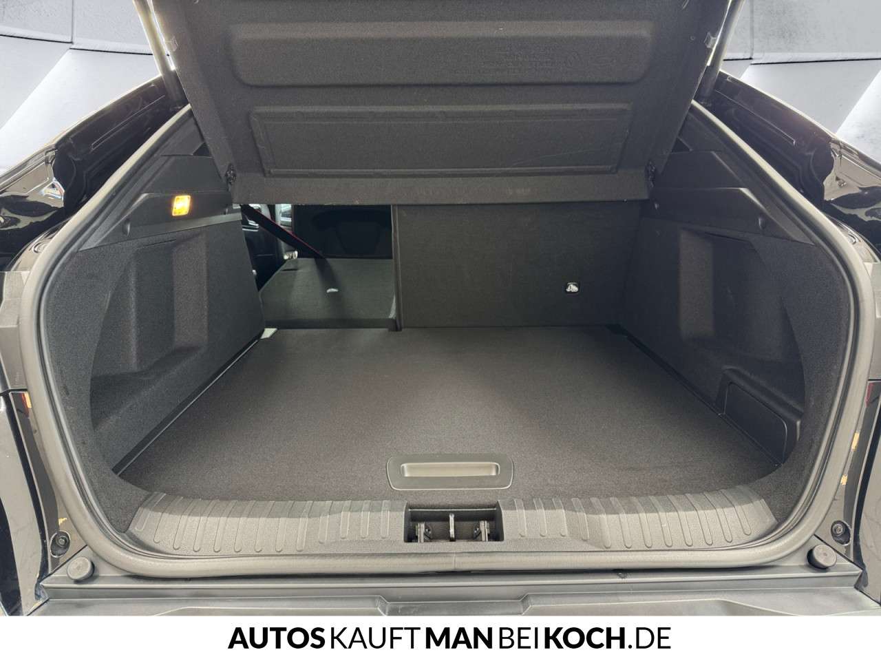 Fahrzeugbild eines Renault Arkana
