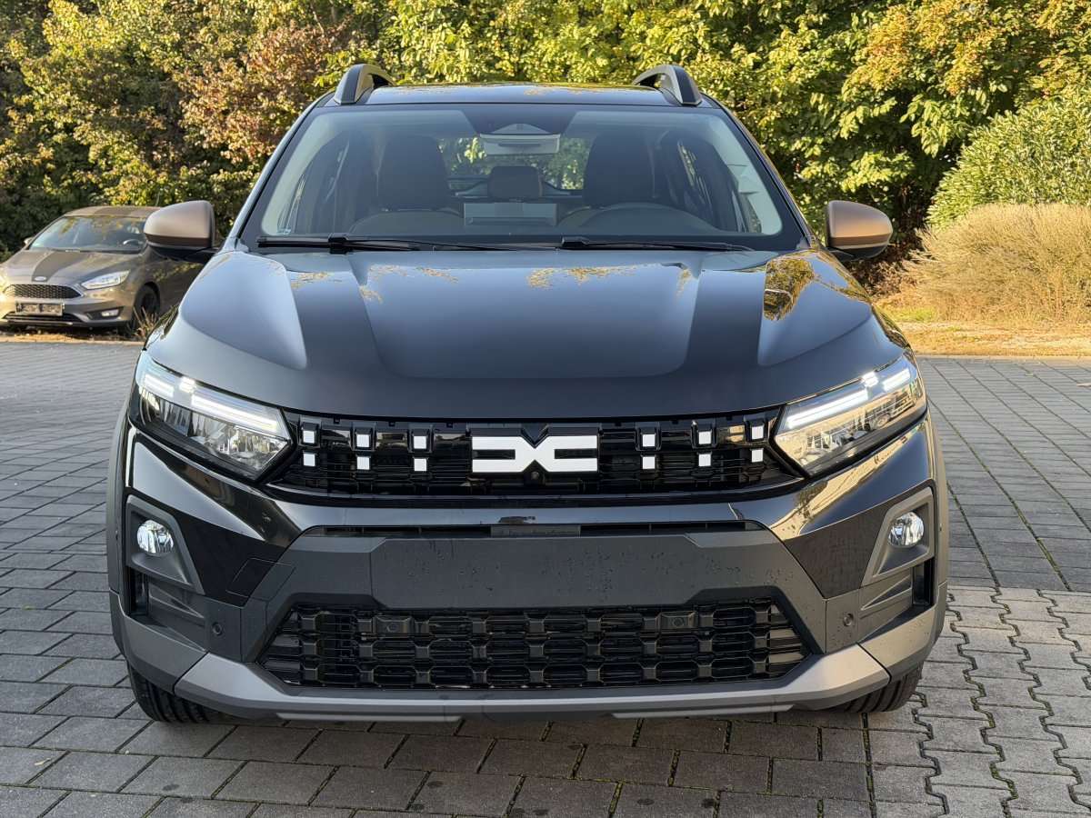 Fahrzeugbild eines Dacia Sandero