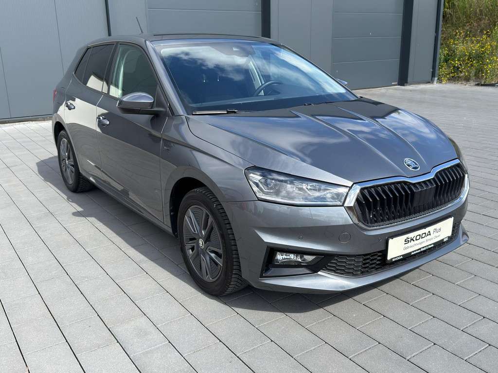 Fahrzeugbild eines Skoda Fabia