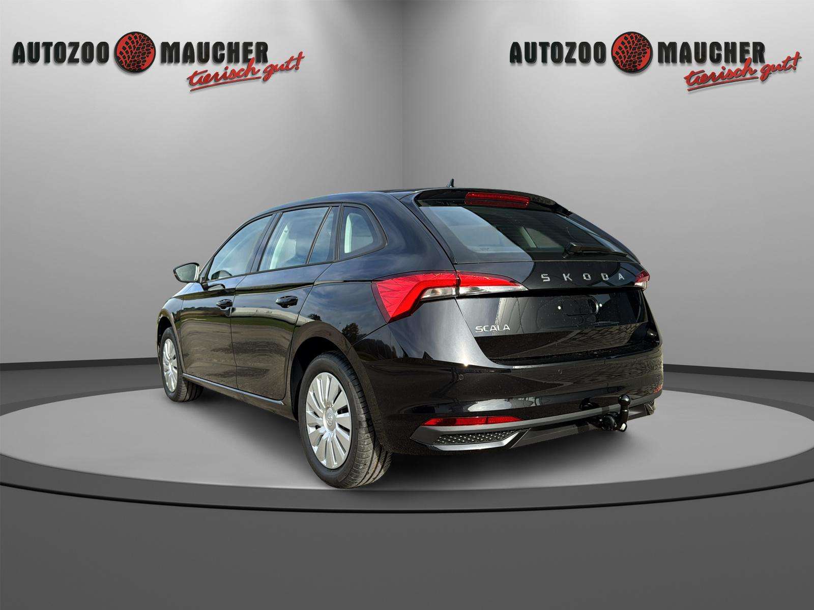 Fahrzeugbild eines Skoda Scala