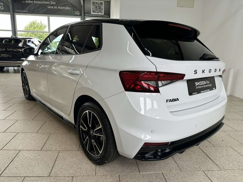 Fahrzeugbild eines Skoda Fabia