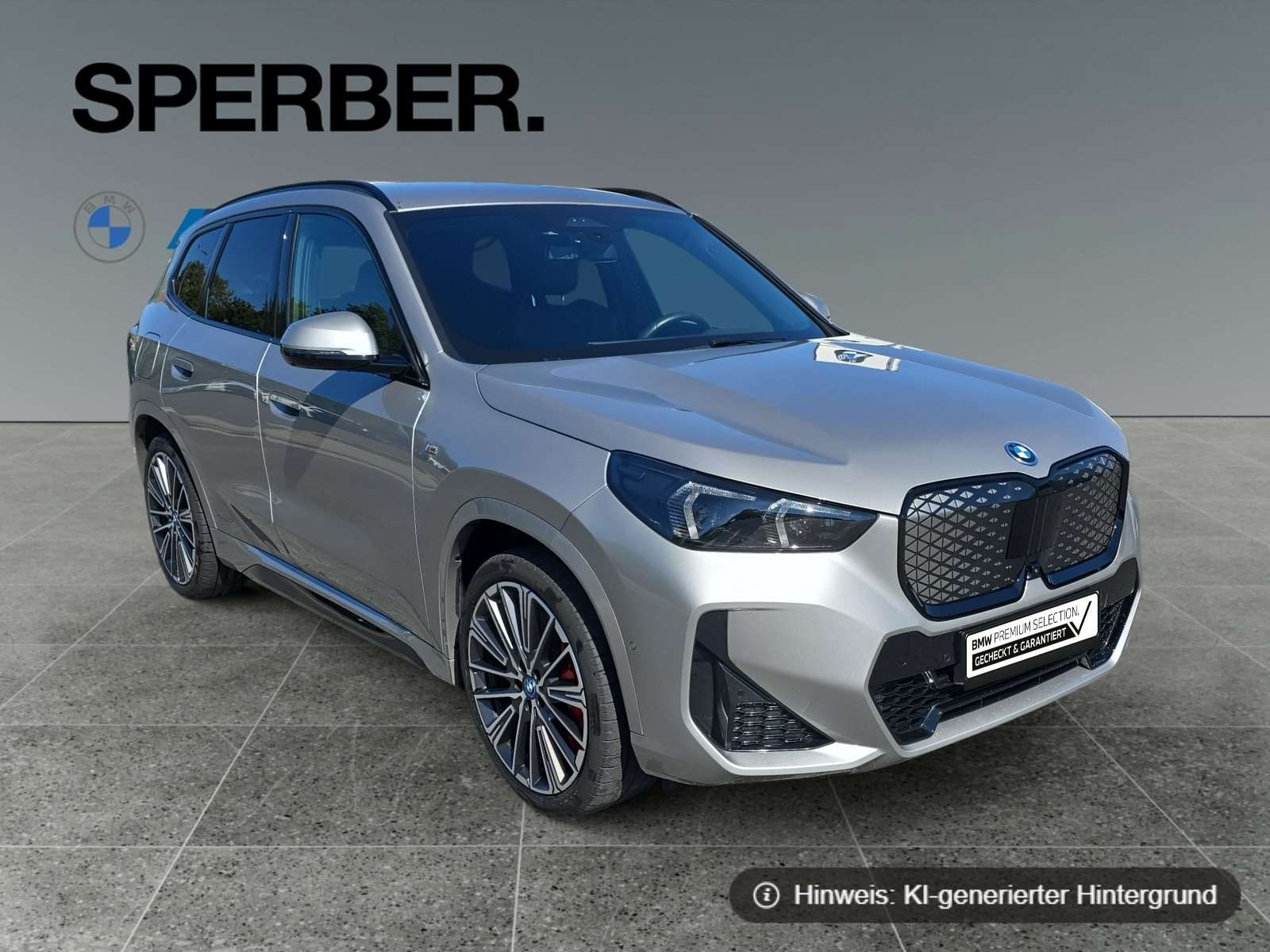 Fahrzeugbild eines BMW iX1