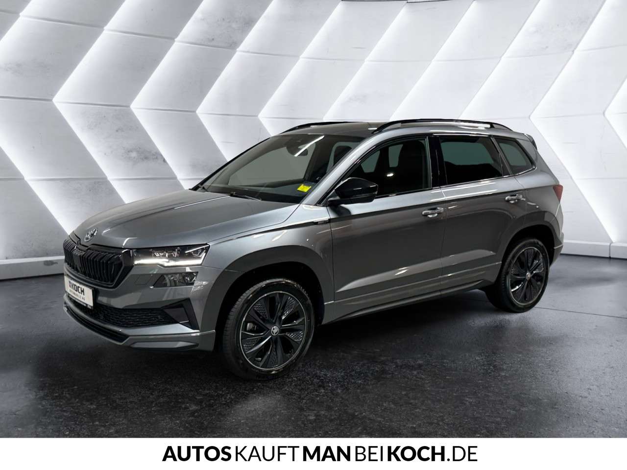 Fahrzeugbild eines Skoda Karoq