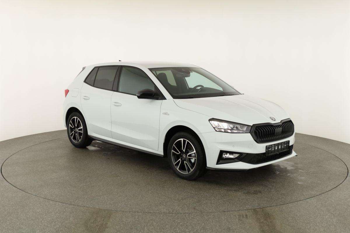Fahrzeugbild eines Skoda Fabia