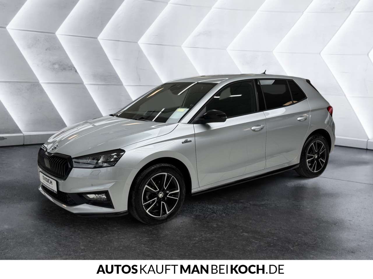 Fahrzeugbild eines Skoda Fabia